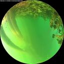 ./images/calvert/underwater/20260611/underwater20260611_192001M.jpg