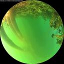 ./images/calvert/underwater/20260611/underwater20260611_194501M.jpg
