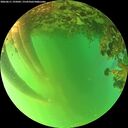./images/calvert/underwater/20260611/underwater20260611_195001M.jpg