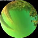 ./images/calvert/underwater/20260611/underwater20260611_195502M.jpg