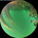 ./images/calvert/underwater/20260611/underwater20260611_201502M.jpg