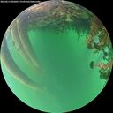 ./images/calvert/underwater/20260611/underwater20260611_202001M.jpg