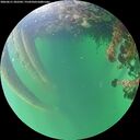 ./images/calvert/underwater/20260611/underwater20260611_202501M.jpg