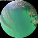 ./images/calvert/underwater/20260611/underwater20260611_203002M.jpg