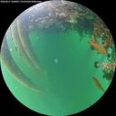 ./images/calvert/underwater/20260611/underwater20260611_204002M.jpg