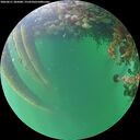 ./images/calvert/underwater/20260611/underwater20260611_205001M.jpg