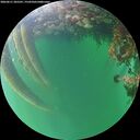 ./images/calvert/underwater/20260611/underwater20260611_205501M.jpg