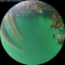 ./images/calvert/underwater/20260611/underwater20260611_210501M.jpg
