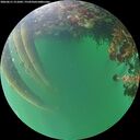 ./images/calvert/underwater/20260611/underwater20260611_211002M.jpg