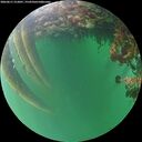 ./images/calvert/underwater/20260611/underwater20260611_212001M.jpg