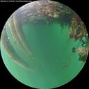 ./images/calvert/underwater/20260611/underwater20260611_212501M.jpg