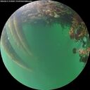 ./images/calvert/underwater/20260611/underwater20260611_213001M.jpg