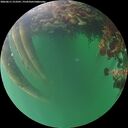 ./images/calvert/underwater/20260611/underwater20260611_213501M.jpg