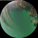 ./images/calvert/underwater/20260611/underwater20260611_214501M.jpg