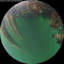 ./images/calvert/underwater/20260611/underwater20260611_215001M.jpg
