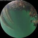 ./images/calvert/underwater/20260611/underwater20260611_215501M.jpg