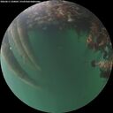 ./images/calvert/underwater/20260611/underwater20260611_220001M.jpg