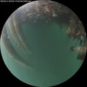 ./images/calvert/underwater/20260611/underwater20260611_220502M.jpg