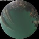 ./images/calvert/underwater/20260611/underwater20260611_221002M.jpg