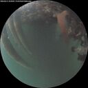 ./images/calvert/underwater/20260611/underwater20260611_222002M.jpg