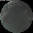 ./images/calvert/underwater/20260611/underwater20260611_223001M.jpg