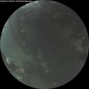 ./images/calvert/underwater/20260612/underwater20260612_043501M.jpg