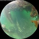 ./images/calvert/underwater/20260612/underwater20260612_055001M.jpg