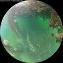 ./images/calvert/underwater/20260612/underwater20260612_055501M.jpg