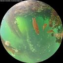 ./images/calvert/underwater/20260612/underwater20260612_062001M.jpg