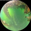 ./images/calvert/underwater/20260612/underwater20260612_064001M.jpg