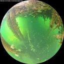 ./images/calvert/underwater/20260612/underwater20260612_071001M.jpg
