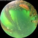 ./images/calvert/underwater/20260612/underwater20260612_072001M.jpg