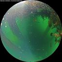 ./images/calvert/underwater/20260612/underwater20260612_084001M.jpg