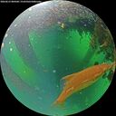 ./images/calvert/underwater/20260612/underwater20260612_084501M.jpg
