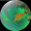 ./images/calvert/underwater/20260612/underwater20260612_091501M.jpg