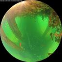 ./images/calvert/underwater/20260612/underwater20260612_093002M.jpg