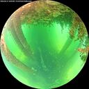 ./images/calvert/underwater/20260612/underwater20260612_100501M.jpg
