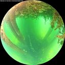./images/calvert/underwater/20260612/underwater20260612_101501M.jpg