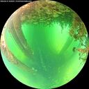 ./images/calvert/underwater/20260612/underwater20260612_102001M.jpg