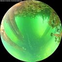 ./images/calvert/underwater/20260612/underwater20260612_102501M.jpg