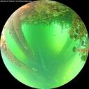 ./images/calvert/underwater/20260612/underwater20260612_103501M.jpg
