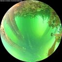 ./images/calvert/underwater/20260612/underwater20260612_104001M.jpg