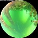 ./images/calvert/underwater/20260612/underwater20260612_104501M.jpg