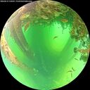 ./images/calvert/underwater/20260612/underwater20260612_110501M.jpg