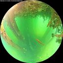 ./images/calvert/underwater/20260612/underwater20260612_111001M.jpg