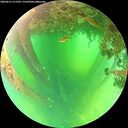 ./images/calvert/underwater/20260612/underwater20260612_111501M.jpg