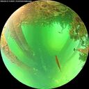 ./images/calvert/underwater/20260612/underwater20260612_112001M.jpg