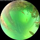 ./images/calvert/underwater/20260612/underwater20260612_113001M.jpg
