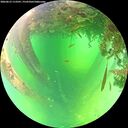 ./images/calvert/underwater/20260612/underwater20260612_113501M.jpg