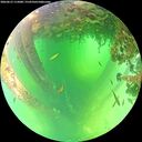 ./images/calvert/underwater/20260612/underwater20260612_115001M.jpg